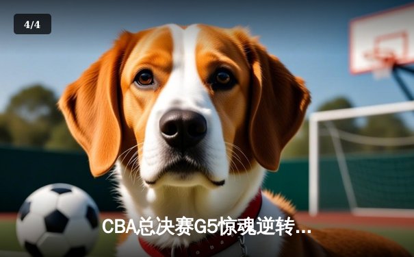 CBA总决赛G5惊魂逆转 辽宁本钢加时苦战力克浙江广厦夺赛点 - 4