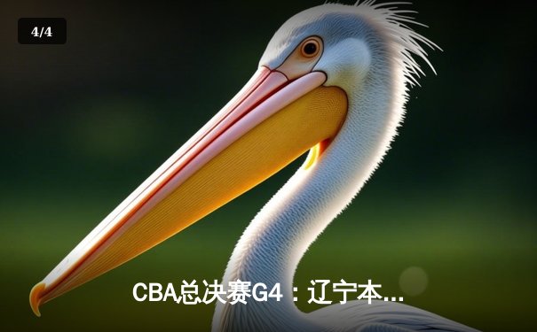CBA总决赛G4：辽宁本钢险胜浙江广厦，总比分3-1夺得赛点 - 4
